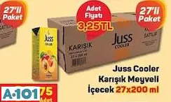 JUST COOLER KARIŞIK MEYVE SUYU 27X200 ML